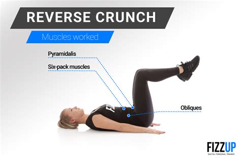 abs  steel  reverse crunches fizzup
