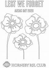 Anzac Hornsby Rsl Poppies sketch template