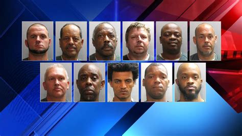 11 men arrested in prostitution bust