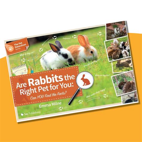 rwaf shop ads5 rabbit welfare shop