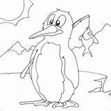 Penguin Coloring Colouring Pages Little Chilly Kids Animal Billy Print Cartoon sketch template