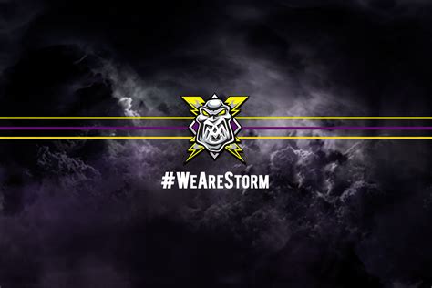 ownership   manchester storm manchester storm