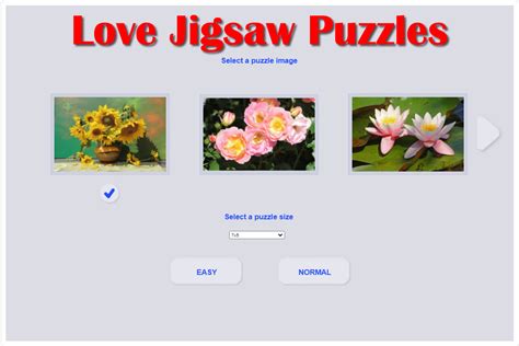 jigsaw puzzles easy hoolisavvy