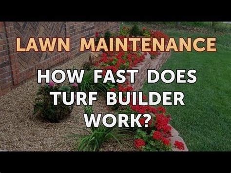 fast  turf builder work youtube