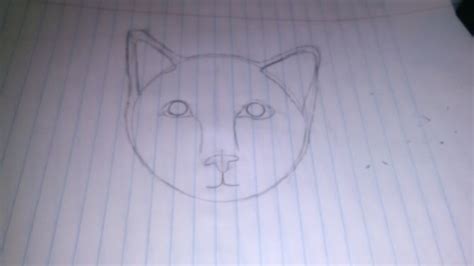 How To Draw A Realistic Cat S Face 11 Steps With Pictures