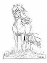Lena Horse Coloring Horses Pages Drawing Tattoo Drawings Iceland Choose Board Tattoos Colouring sketch template