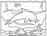 Coloring Pages Dolphin Winter Coloringhome sketch template