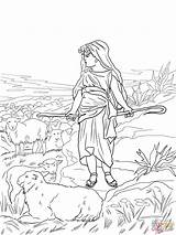 David Coloring Pages Shepherd Boy Abigail Absalom Sheets Colouring Sketch Printable Color Goliath Popular Print Drawing sketch template