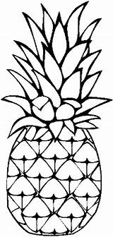 Pineapple Coloring Clipart Drawing Pages Printable Outline Clip Sheets Colouring Caribbean Sweet Pine Pineapples Cartoon Print Cliparts Template Kids Fruit sketch template