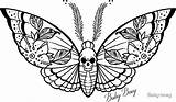 Moth Boey sketch template