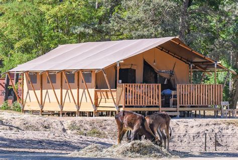 safari tent  person accommodation beekse bergen
