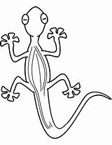 Lizard Coloring Printable Pages Categories sketch template