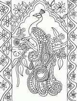 Peacock Coloring Pages Kids Printable Comments sketch template