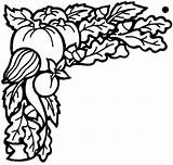 Verduras Ausmalbild Herbstbilder Recolectadas Ausmalen Gemuse Geerntet sketch template