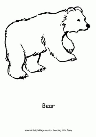 bear cub colouring page