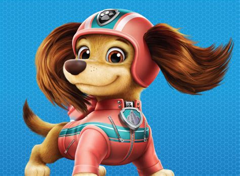 paw patrol  heroes unite show details characters