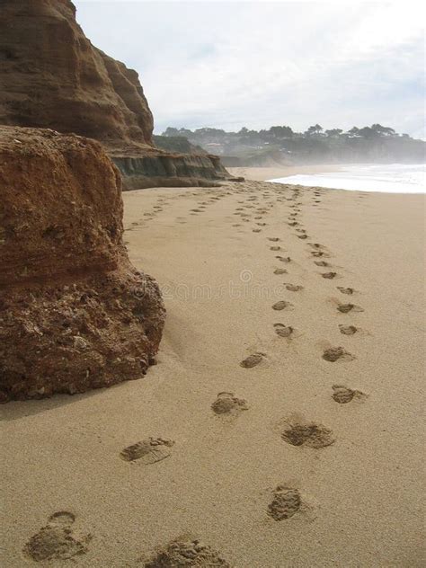 beach steps stock photo image  lonely footsteps pacific