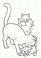 Katze Malvorlagen Katzen Ausdrucken Drucken Chevaux sketch template