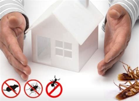 effective pest control  homes  architects diary