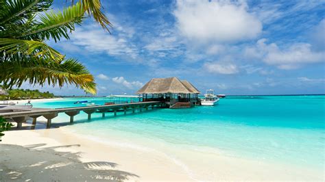 beaches   world maldives