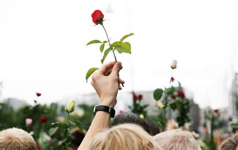 rose holdes  vaeret pa radhusplassen fra rosetog minnema flickr