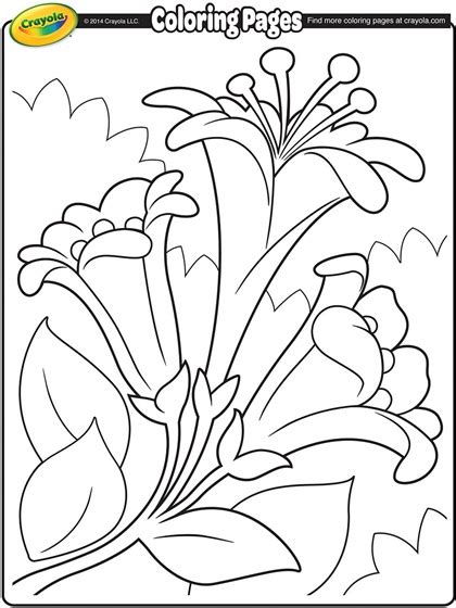 easter lilies ii coloring page crayolacom