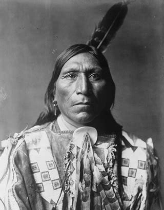 native american genealogy dna testing  native american heritage