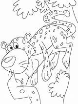 Adz Cheetah Template sketch template