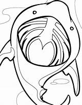 Coloring Pages Shark Basking Lip Lips Clipart Gloss Color Kissing Mouth Getcolorings Clipartbest Clipground Open sketch template