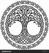 Celtic Tree Life Drawing Vector Border Round Mandala Line Ornament Decorative Shutterstock Floral Baum Tattoo Yggdrasil La Vida Symbols Symboler sketch template