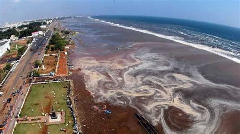 tsunami  years  devastating event people pay tearful homage