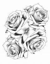 Tattoovorlagen Kostenlos Ausdrucken Rosen Erstaunliche Zenideen Drucken Tatuajes Teilen Eulen sketch template