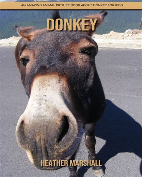 donkey  amazing animal picture book  donkey  kids  heather