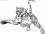 Tigre Coloriages sketch template
