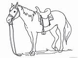 Horse Coloring Pages Printable Miniature Horses Getdrawings sketch template