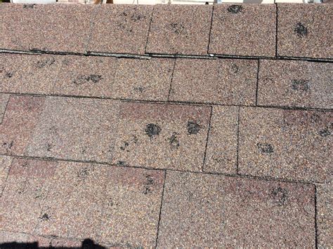 roof  hail damage signature exteriors