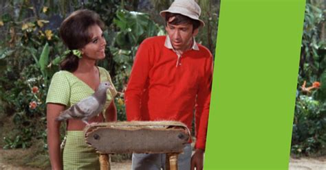 Can You Guess Who S Missing From Major Scenes On Gilligan S Island
