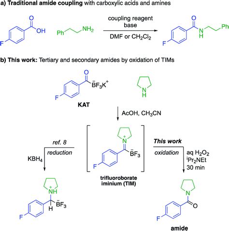 synthesis  secondary  tertiary amides  coupling agents  amines  potassium