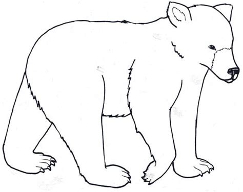 awesome polar bear coloring page kids play color bear coloring