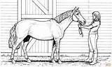 Horse Coloring Pages Realistic Printable Colorings Horses Print Animal Kids Sheets Cute Choose Board sketch template
