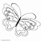 Coloring Butterfly Pages Unusual Printable Insect sketch template