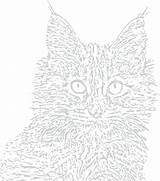 Coloring Pages Tabby Cat Getdrawings Getcolorings sketch template