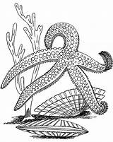 Starfish Coloring Pages Star Sea Fish Color Colouring Printable Print Kids Getcolorings Coloring2print Recommended sketch template