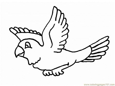 coloring pages parrots  flying birds parrots  printable
