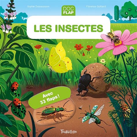 les insectes editions tourbillon livres jeunesse