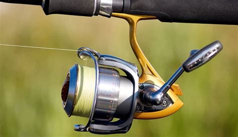 spinning reels   tested  reviewed  fishing enthusiasts globo surf