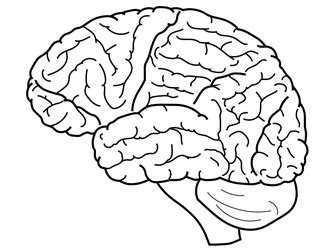 brain coloring pages