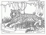 Coloring Pages Color Difficult Hard Numbers Kids Library Clipart Animal sketch template