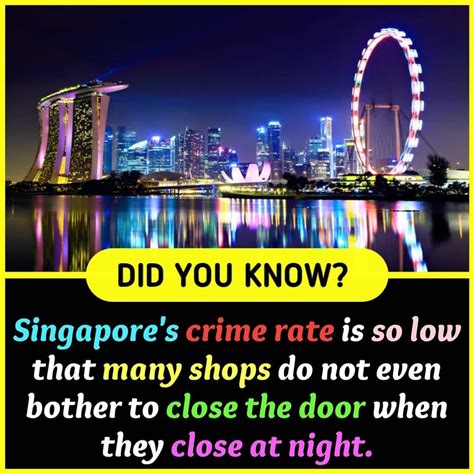 pin  skf  dyk fun facts  life unbelievable facts