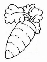 Carrot Coloring Pages Verduras Vegetables Line Drawing Color Recommended Clipartmag Kids sketch template